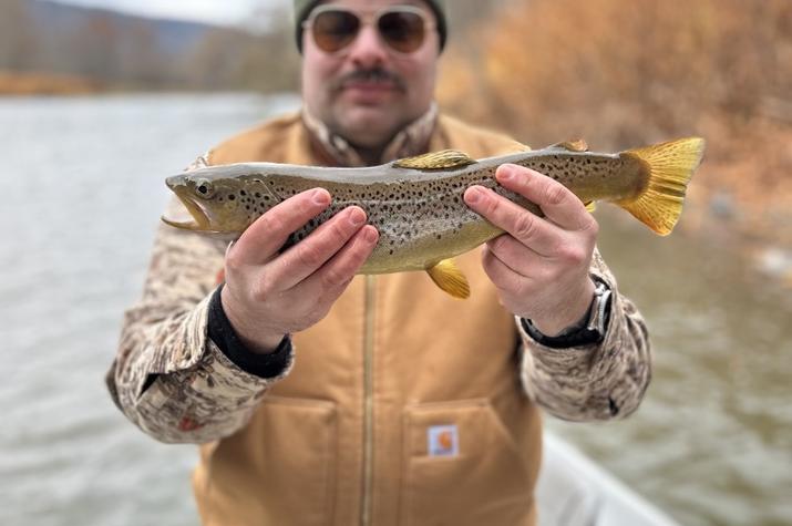 fly fishing upper delaware river trout