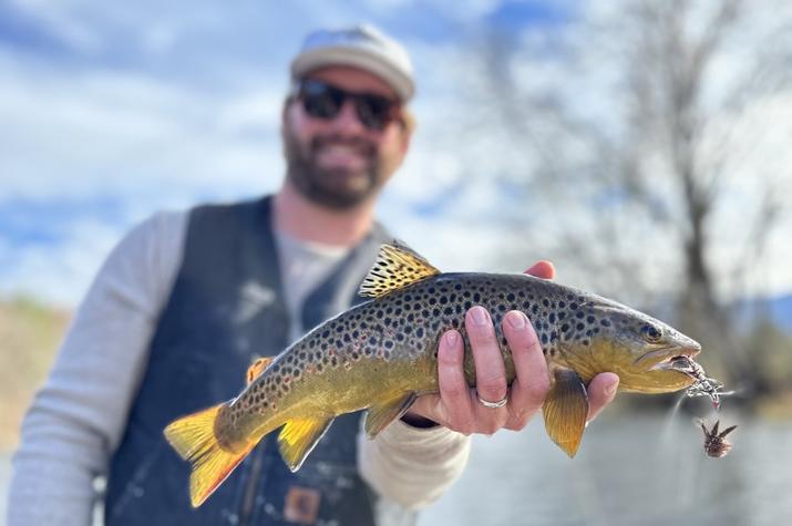 fly fishing upper delaware river wild trout