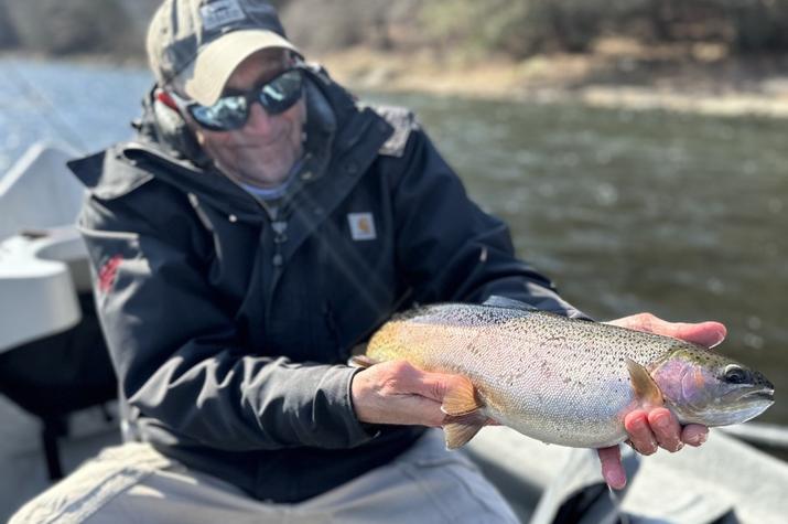 fly fishing the upper delaware river for rainbow trout