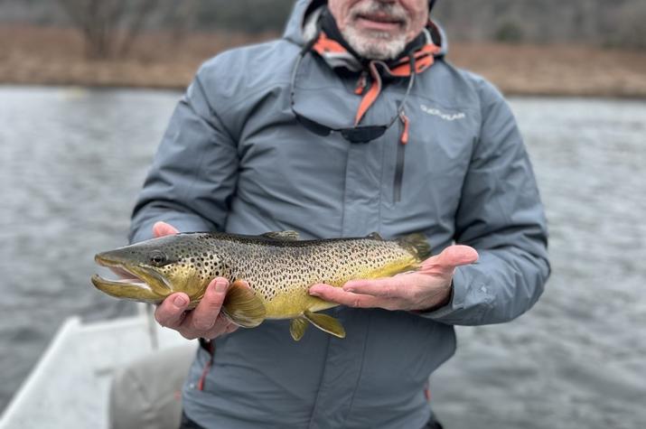 fly fishing upper delaware river for wild trout