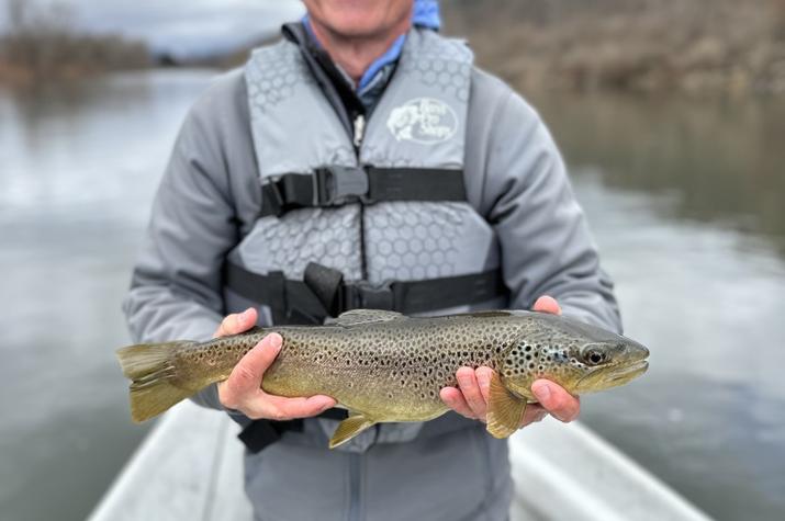 fly fishing west branch delaware river wild trout