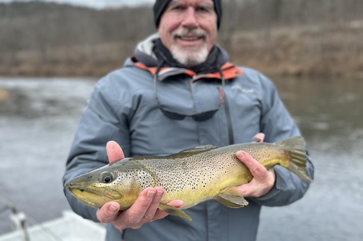 west branch delaware river fly fishing wild trout