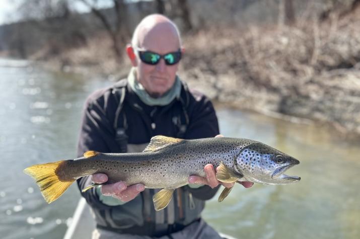 fly fishing west branch delaware river wild trout