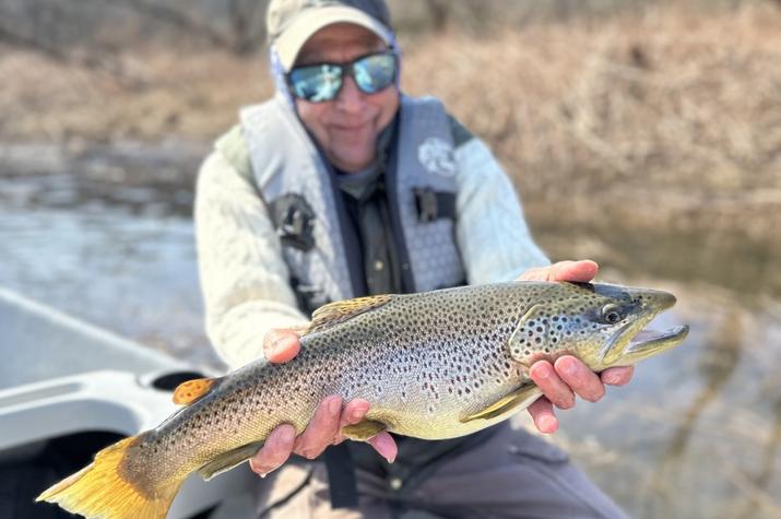 west branch delaware river fly fishing guide