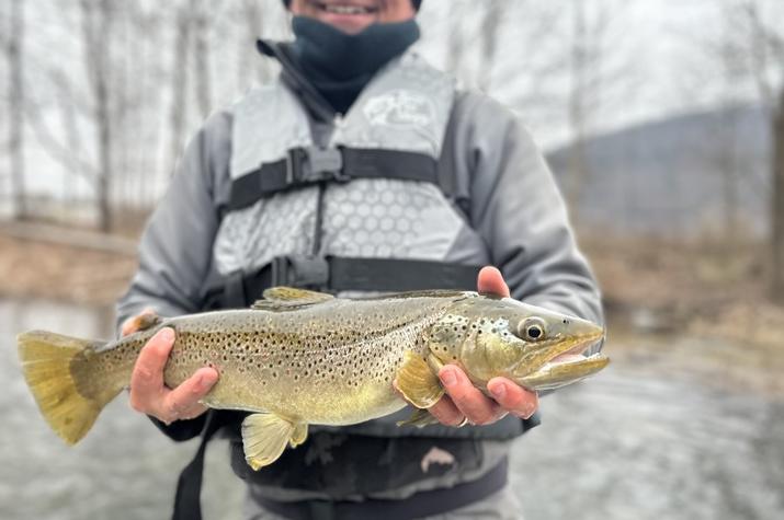 west branch delaware river fly fishing guide