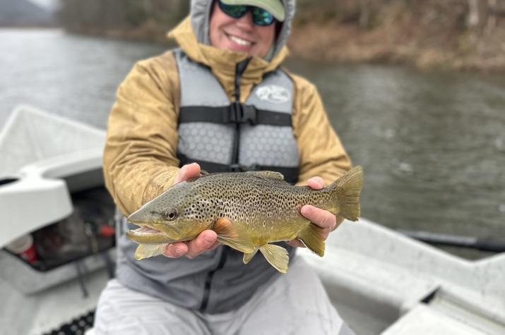 west branch delaware river trout