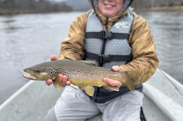 fly fishing upper delaware river west branch delaware river