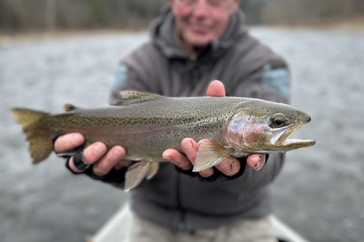 fly fishing west branch delaware river trout