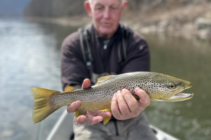 upper delaware river fly fishing wild trout