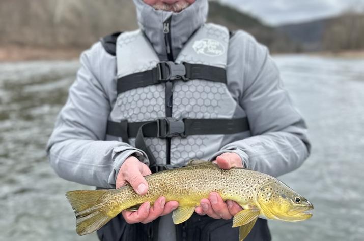 fly fishing guide delaware river wild trout