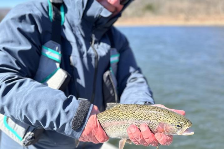 upper delaware river wild trout guide jesse filingo