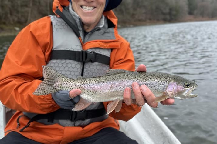 upper delaware river rainbow trout