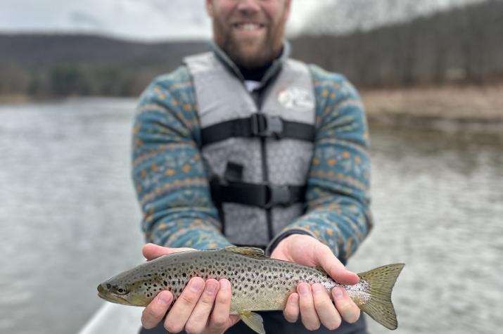 upper delaware river fly fishing guide