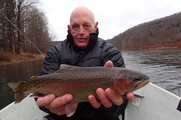 delaware river wild rainbow trout on guided fly fishing tours with jesse filingo of filingo fly fishing
