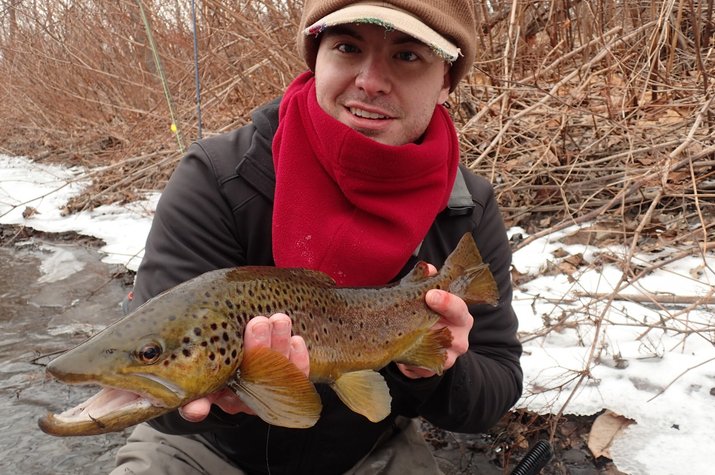 big nymph eating brown trout