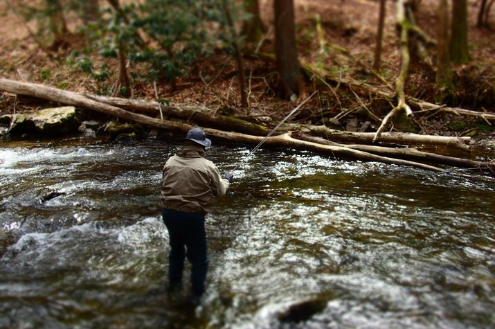 guided fly fishing in the pocono mountains with jesse filingo of filingo fly fishing for wild trout
