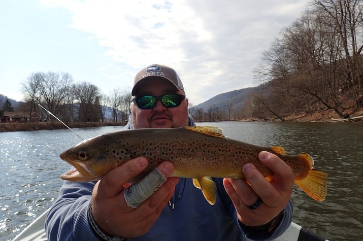 west branch delaware river guided fly fishing upper delaware river for wild trout with filingo fly fishing