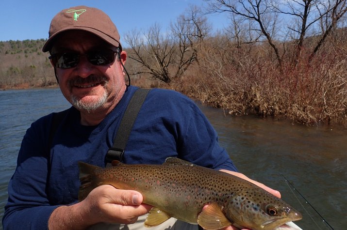 delaware river brown trout caught on a guided fly fishing float trip west branch delaware river