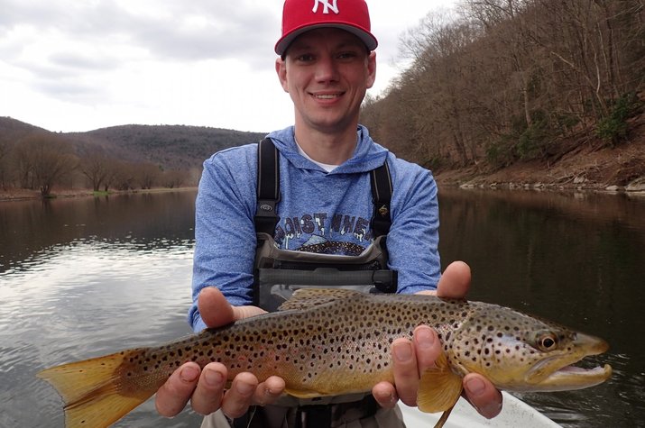 new york and pennsylvania guided fly fishing upper delaware river fishing guide filingo fly fishing wild brown trout new york