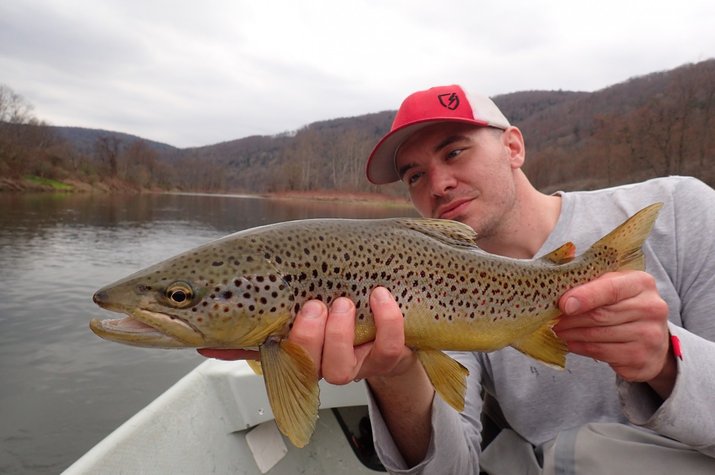 delaware river brown trout caught on a dry fly on the upper delaware river with jesse filingo