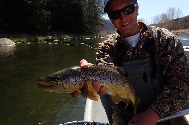 big west branch delaware river brown trout