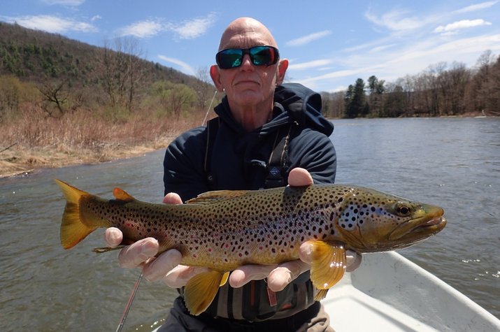 delaware river new york and pennsylvania guided fly fishing big brown trout