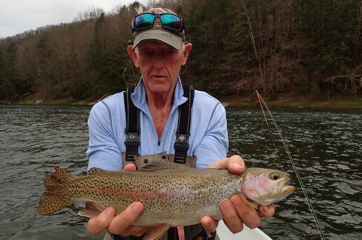 wild delaware river rainbow caught on a guided fly fishing float tour with jesse filingo of filingo fly fishing on the delaware river