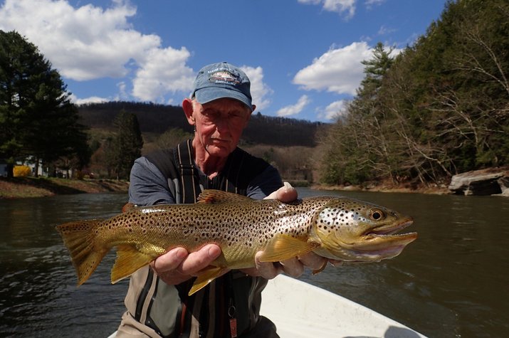 guided fly fishing delaware river pennsylvania big brown trout filingo fly fishing