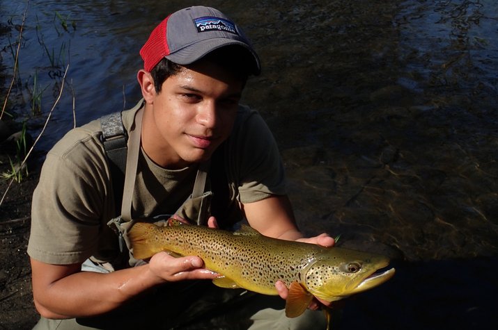 big pocono mountains brown trout