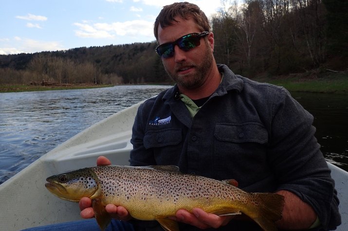 wild delware river brown trout with jesse filingo of filingo fly fishing on a guided fly fishing tour