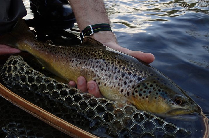 guided fly fishing trips in the pocono mountains