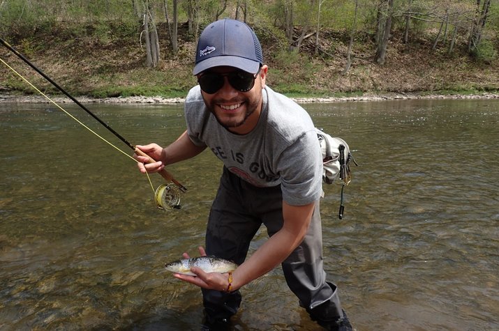west branch delaware river brown trout