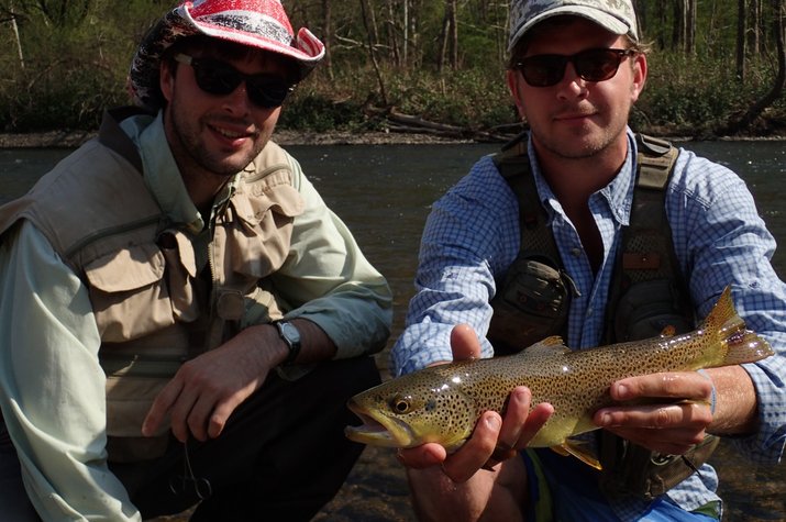east branch of the delaware river brown trout