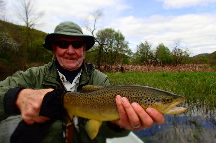 brown trout caught on the west branch of the delaware river on a guided fly fishing trip with jesse filingo