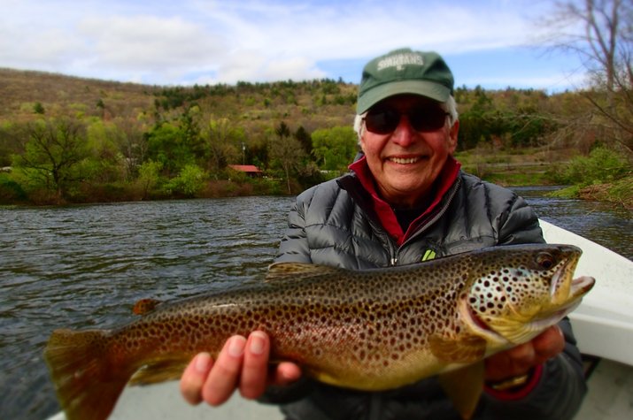 upper delaware river brown trout caught on the dry fly on a guided trip with filingo fly fishing