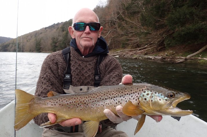 upper delaware river guided fly fishing big brown trout filingo fly fishing 