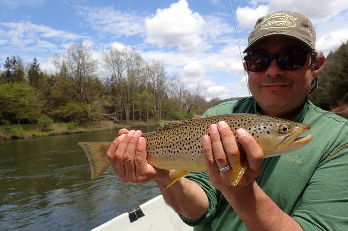 new york and pennsylvania guided fly fishing tours delaware river brown trout