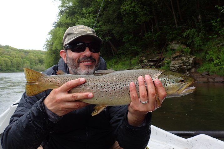 west branch delaware river fly fishing guide