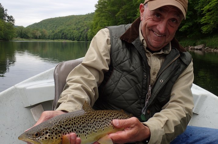 delaware river brown trout