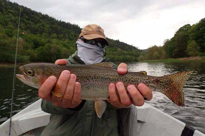 upper delaware and pocono mountain guided fly fishing with jesse filingo of filingo fly fishing