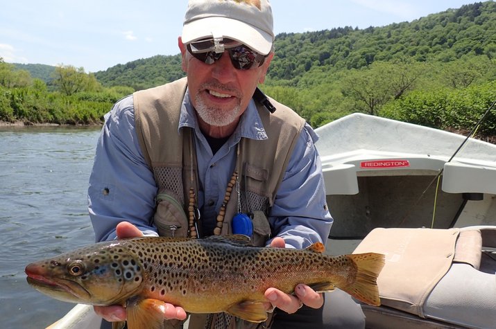 guided fly fishing tours on the upper delaware river for wild brown trout