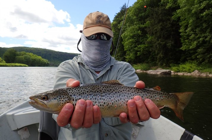 upper delaware river guided fly fishing tours big trout with jesse filingo of filingo fly fishing
