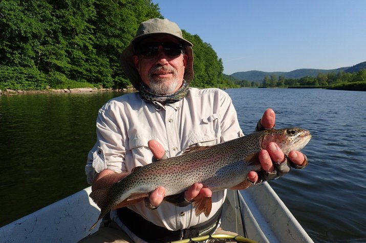 upper delaware river trout fishing