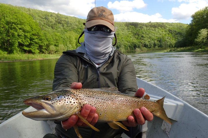 upper delaware river guided fly fishing tours for big wild trout with jesse filingo of filingo fly fishing