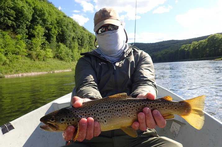 upper delaware river and pocono mountains guided fly fishing tours with jesse filingo of filingo fly fishing