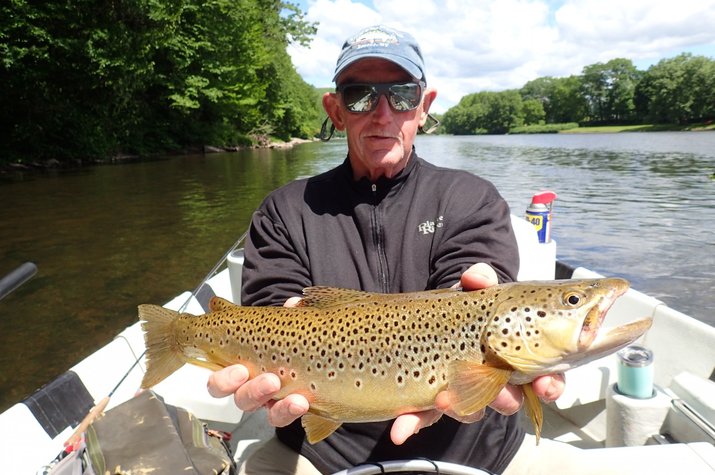guided fly fishing for big brown trout on upper delaware river and pocono mountains with filingo fly fishing