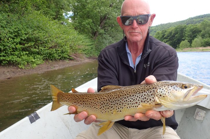 upper delaware river guided fly fishing trips big brown trout pocono mountains jesse filingo of filingo fly fishing