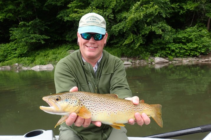 west branch delaware river brown trout