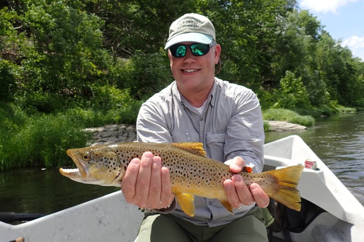 fly fishing upper delaware river brown trout