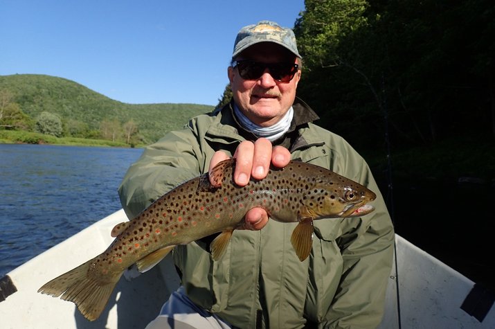 upper delaware river guided fly fishing for brown trout with jesse filingo